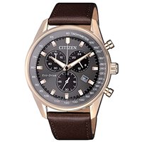 Watch Citizen Man Of Crono in Steel AT2393-17H